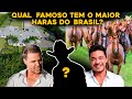 QUAL FAMOSO TEM O MAIOR E MAIS INCRÍVEL HARAS DO BRASIL?