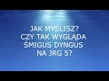 Lany poniedziałek w JRG 5