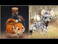  best baby pets cutest cute compilation  your favourite animal is   soo fluffy 