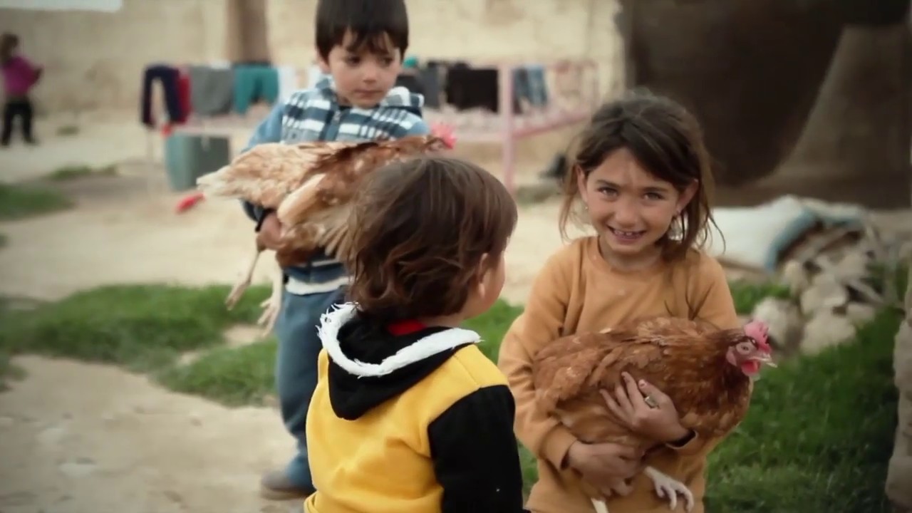 OUR WORLD: Preemptive Love Coalition | Hillsong East Coast