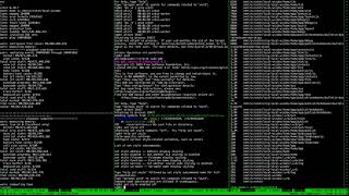 Urbit debugging session: Why is |pack slow?