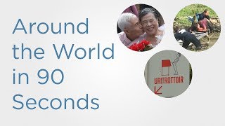 In 90 Seconds: Public urinals annoy Paris and parrot gets rescued (with owner)