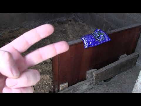 ნახევრად ბაქტერია....მორიგი ტესტის შედეგი