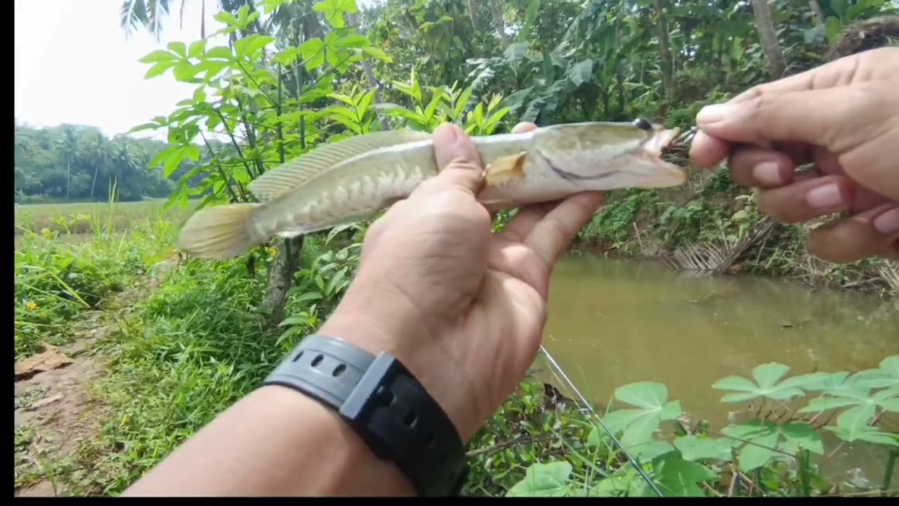 Day 3 puasa coba kesting masih ada cintanya walaupun kocolan #castinggabusbesar 