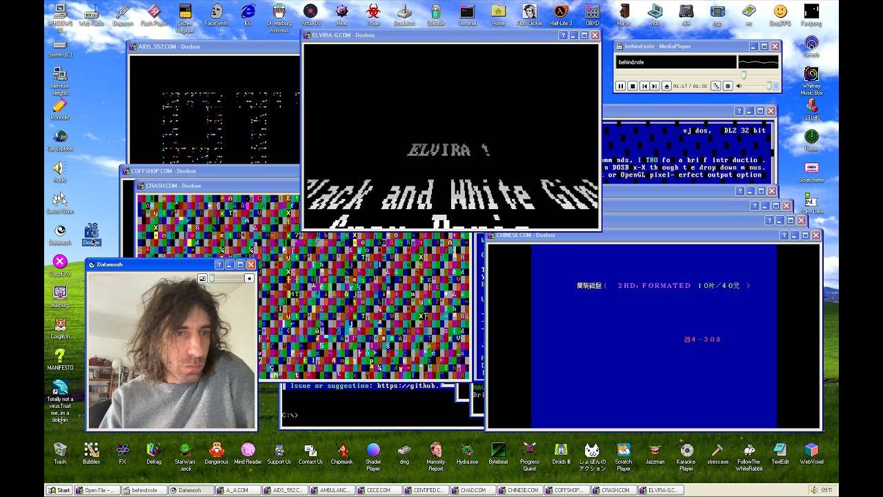 Windows93.net MS-DOS Virus Collection - YouTube
