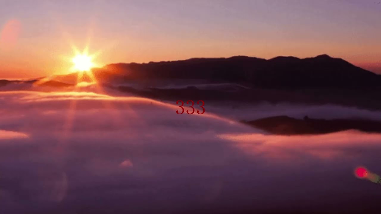 (FREE) protect/pradabagshawty type beat