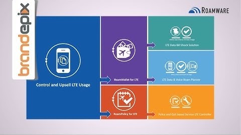Cinimage.org Infographic Animation Video Agency: Roamware CloudSIM