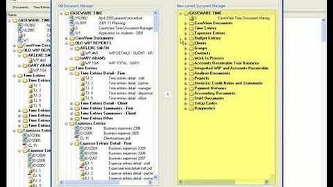 CaseWare Time: Copy Document Manager