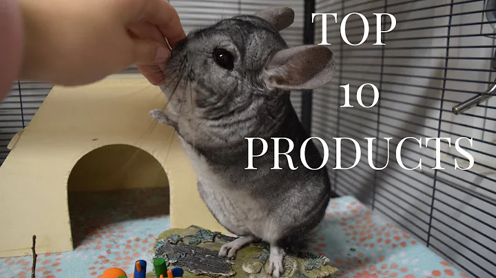 Top 10 Chinchilla Care Products