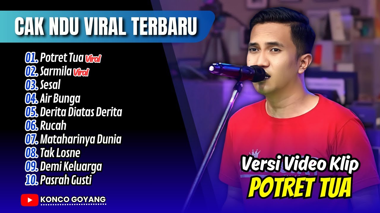 CAK NDU VIRAL TIKTOK - POTRET TUA - SARMILA - AIR BUNGA || FULL ALBUM DANGDUT VIRAL