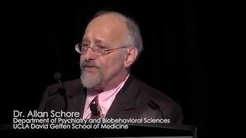 Dr. Allan Schore - Left Brain Right Brain