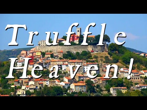 Motovun, Croatia Guide!