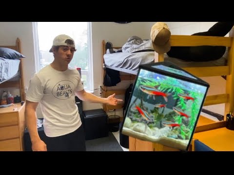 College Dorm Fish Tank! (UNCW)