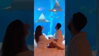 underwater hotel in dubai 😍 tag your partner #travel #explore #placestovisit #dubai