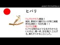ヒバリクラブ