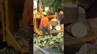 Wood Chipping Satisfying and Sustainable how to Benefits work