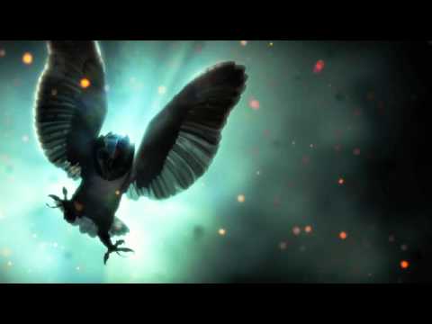 Legend of The Guardians Sountrack - 1.  The Flight Home (The Guardian Theme)