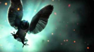 Miniatura de vídeo de "Legend of The Guardians Sountrack - 1.  The Flight Home (The Guardian Theme)"