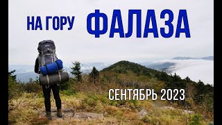 видео: На Фалазу (гора Литовка) (Приморский край, Шкотовский район) сентябрь 2023 картинка: На Фалазу (гора Литовка) (Приморский край, Шкотовский район) сентябрь 2023