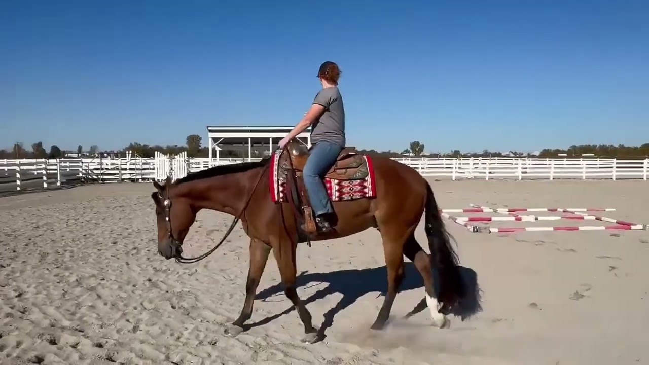 Not Too Lazy To Top Trail 