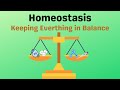 Maintaining Balance: The Role of Homeostasis in Cells