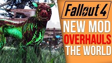 This Mod Will TRANSFORM Fallout 4
