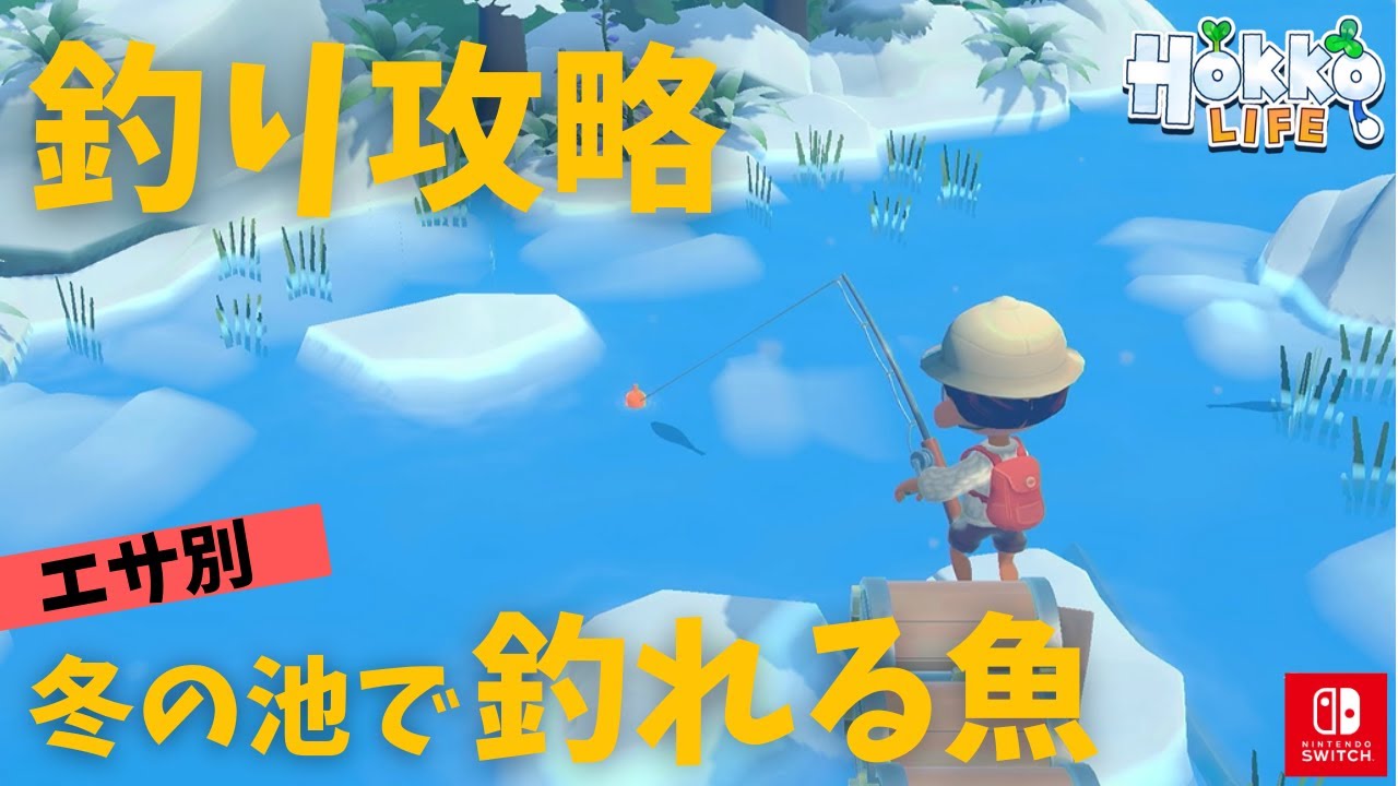 【ホッコライフ】釣り検証第2弾！冬の池で釣れる魚をエサ別に調査【攻略】