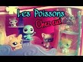 Srie lps les poissons  chez eux  ep 1 