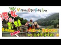 [隊長VL行山日記] 陪兩個港女橫越香港島 | VIRTUAL CROSS FROG RUN比賽|由西面摩星嶺走進東面小西灣 | 兩個揀一個點揀好｜越野賽 橫越香港島(青蛙) |