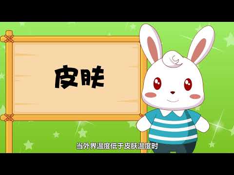 兔小贝 十万个为什么 7 为什么人会出汗