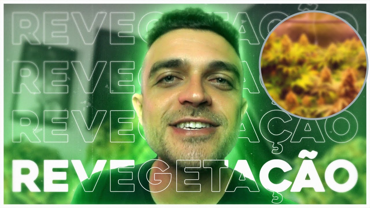 Revegetação no cultivo indoor e outdoor