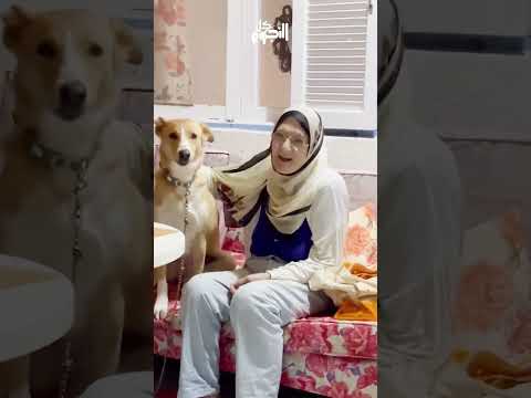 شمس البارودي تثير ضجة بفيديوهات غريبة