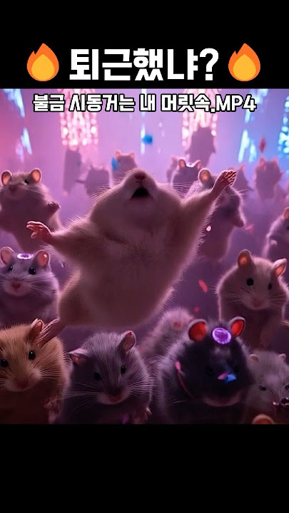 Download lagu 🔥불금이다 다 디져따햄  #oiiaoiiacat  #ai  #불금  #햄찌