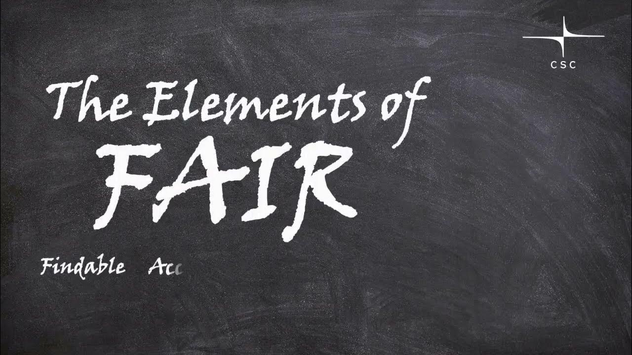 The Elements of FAIR Findable YouTube