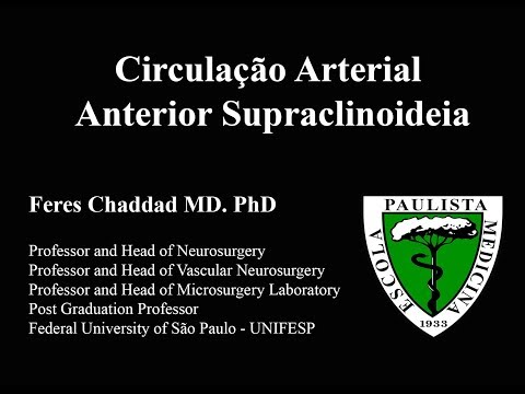 Neuroanatomia: Circulação Arterial Anterior Supraclinoideia  (ACM e ACA)