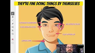 Decoding facial features: Eyebrows, Eyelids, Upper Lip