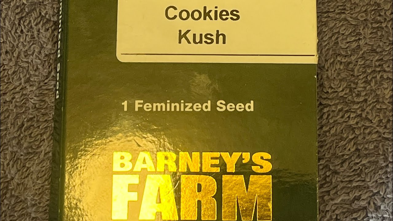 Optic LED the best LED grow lights! Unboxing and starting our first