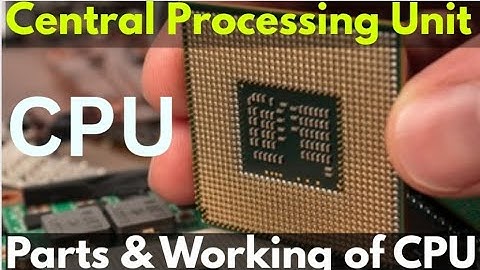 The Central Processing Unit (CPU): The Brain of the Computer 🧠 | Working of CPU and their Parts
