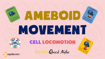 Cell Locomotion - Ameboid Movements
