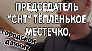 СНТ Белый Ключ 2, город Ульяновск ПРЕДСЕДАТЕЛЬ ДЕРЖИТСЯ ЗА ТЁПЛЕНЬКОЕ МЕСТЕЧКО.