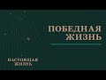 12.10.2023 - Победная жизнь