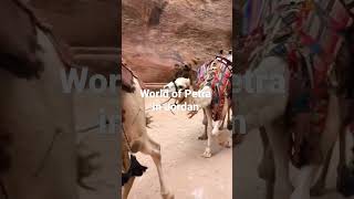 World of Petra in Jordan sanjeevanitravelsshimla shortsfeed petra jordan