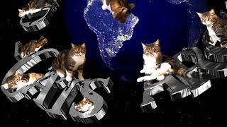 The World of Cats by ComicCat 1,104 views 1 year ago 1 minute, 7 seconds