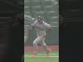 A Luis Arraez hit you’ll have to see to believe