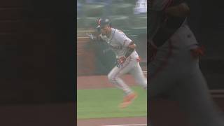 A Luis Arraez hit you’ll have to see to believe