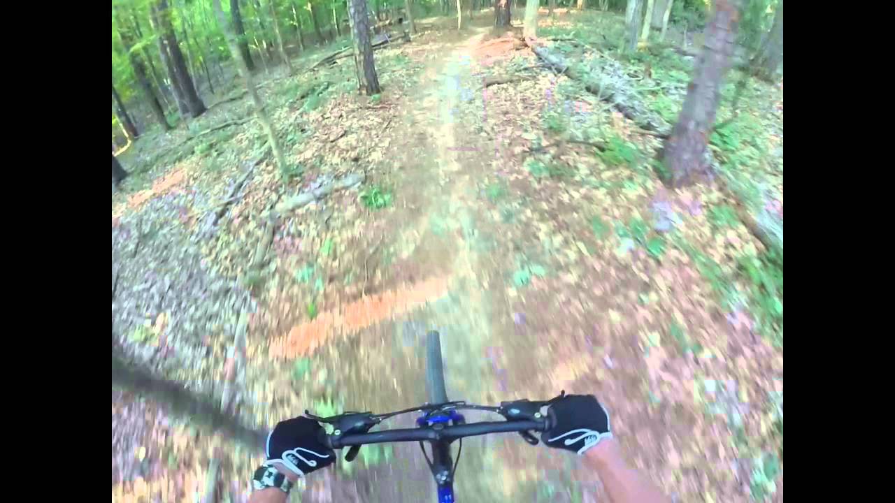 Spotty Dog Productions