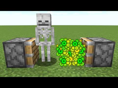 skeleton + xp = ???