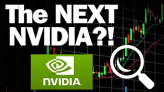 Startup to Stardom: The Next Nvidia Stock!! | VectorVest