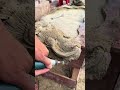 Carving a Rare Golden Phoebe Ebony Tea Tray: Money Toad &amp; Lotus