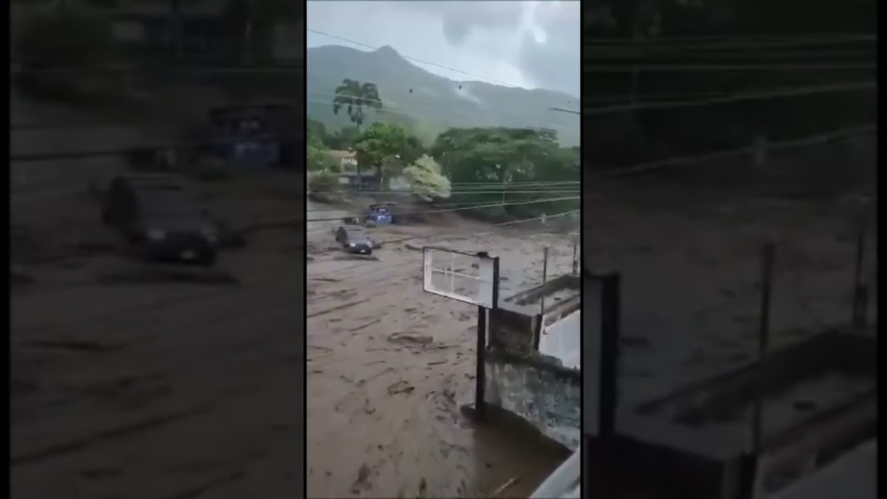 Tonton Incredibile furia dell'acqua trascina l'albero, senza farlo cadere. di YouTube Tonton Incredibile furia dell'acqua trascina l'albero, senza farlo cadere. di YouTube